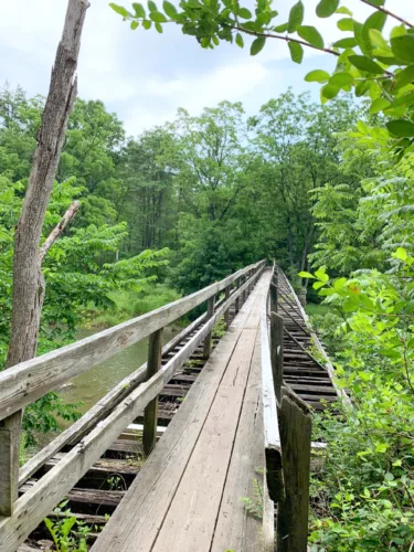 Crickfest returns to Penns Valley for a day of music, nature and community celebration